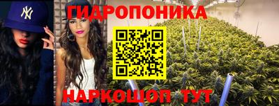 эйфоретик Обнинск