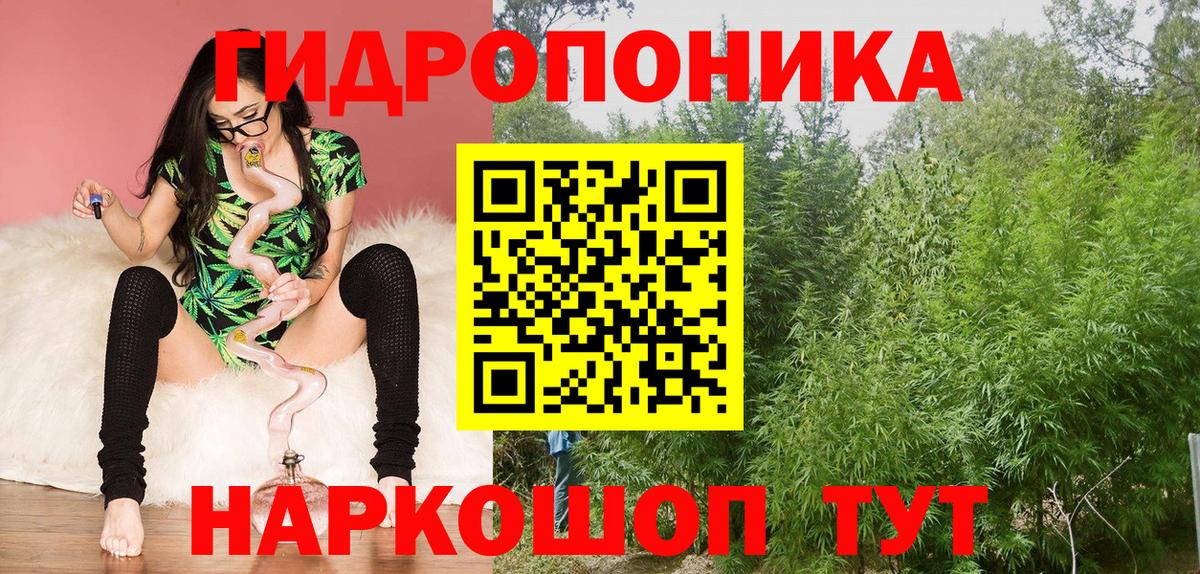 Бошки Шишки Bruce Banner  Вход с VPN  Марихуана LSD WEED  Бошки марихуана планчик  Тихорецк 